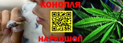 сатива Лесосибирск